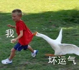 DƬ
